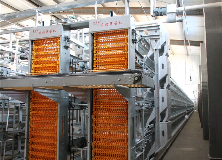 层叠式蛋鸡自动化饲养设备及集蛋器