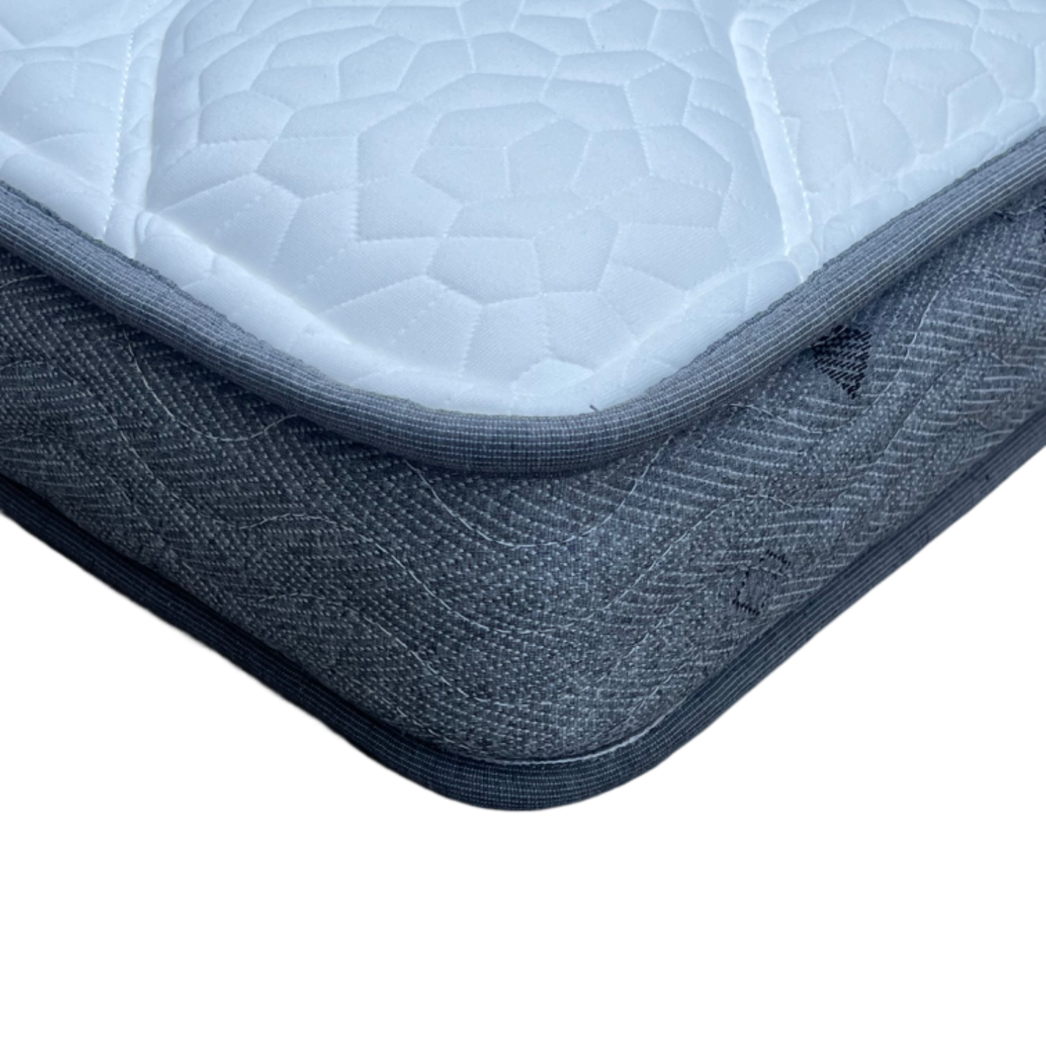 贵族