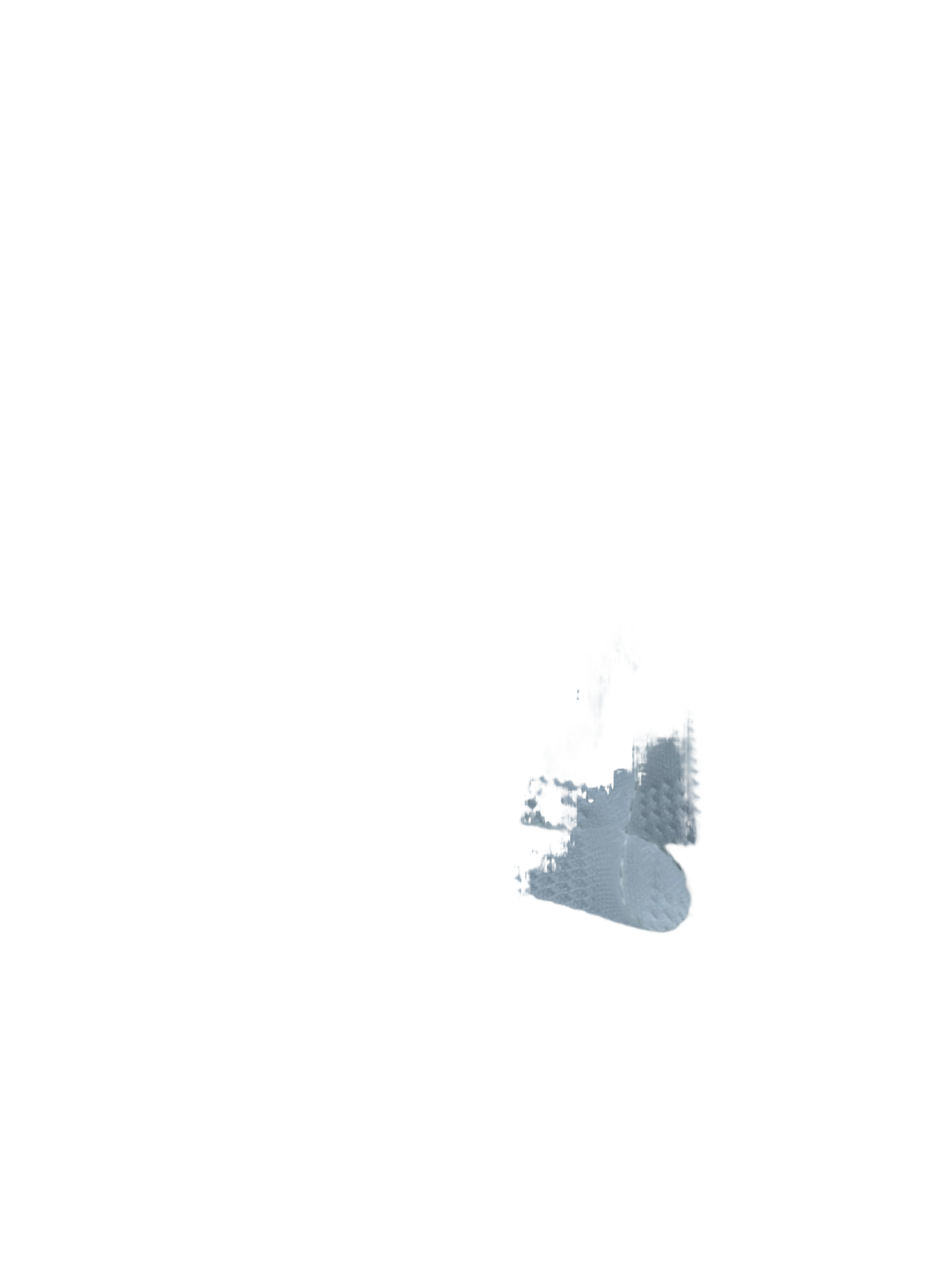 黑山棕两边