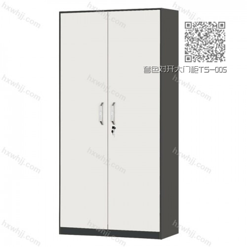 套色對(duì)開大門柜TS-005 套色對(duì)開大門柜TS-005