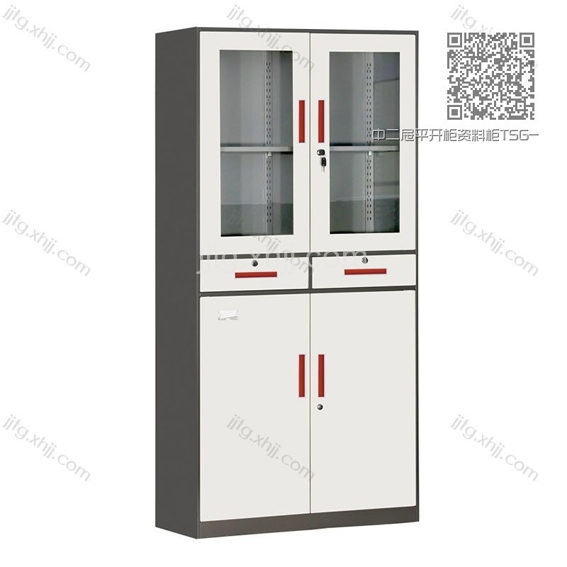 中二屉平开柜资料柜TSG-B04 中二屉平开柜资料柜TSG-B04