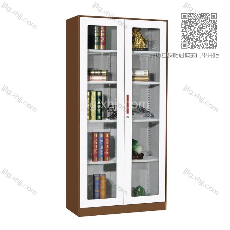 办公铁柜通体玻门平开柜TSG-A01 办公铁柜通体玻门平开柜TSG-A01