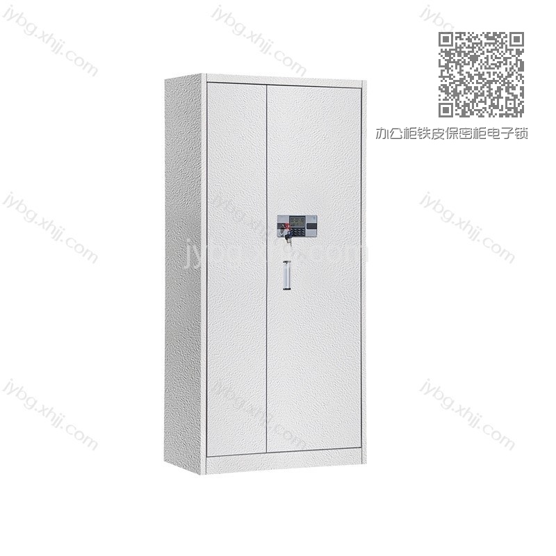 办公柜铁皮保密柜电子锁大门柜 JY-MMG-02 办公柜铁皮保密柜电子锁大门柜 JY-MMG-02