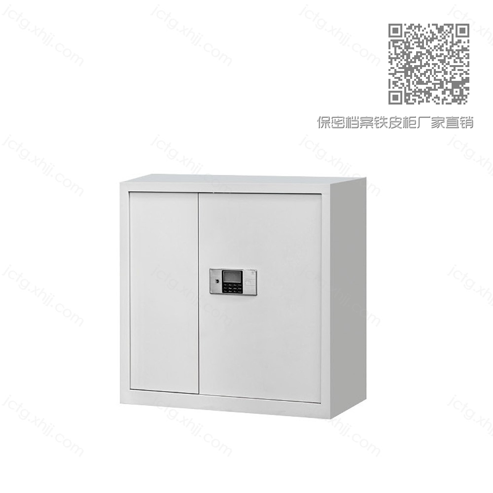 保密档案铁皮柜厂家直销BMG-01#