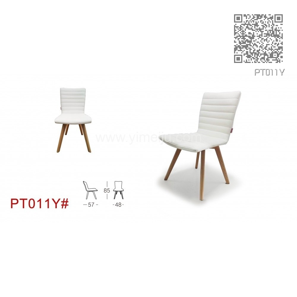 PT011Y