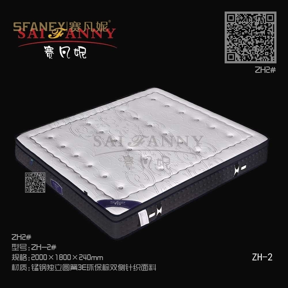 ZH2# ZH2#