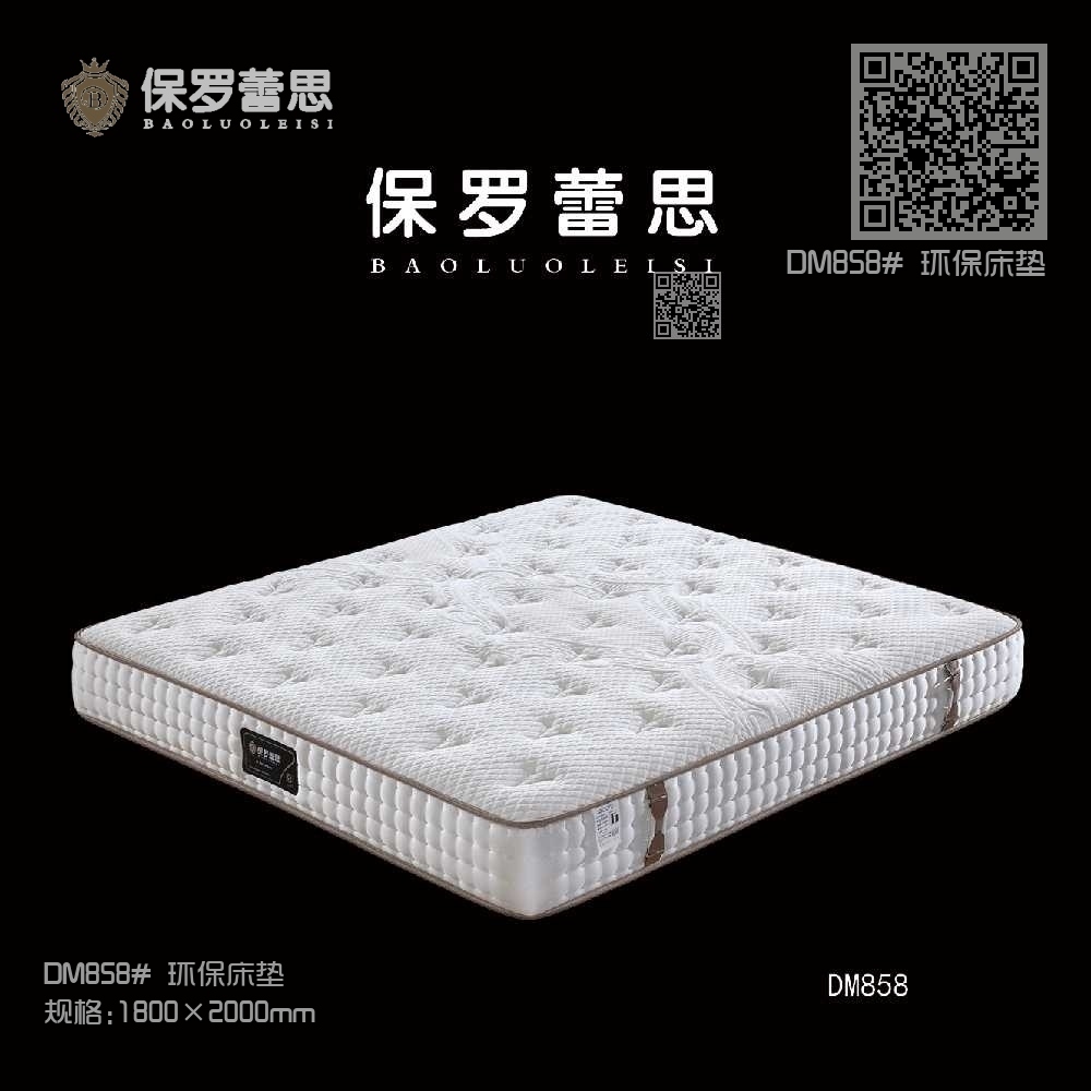 DM858# 环保床垫