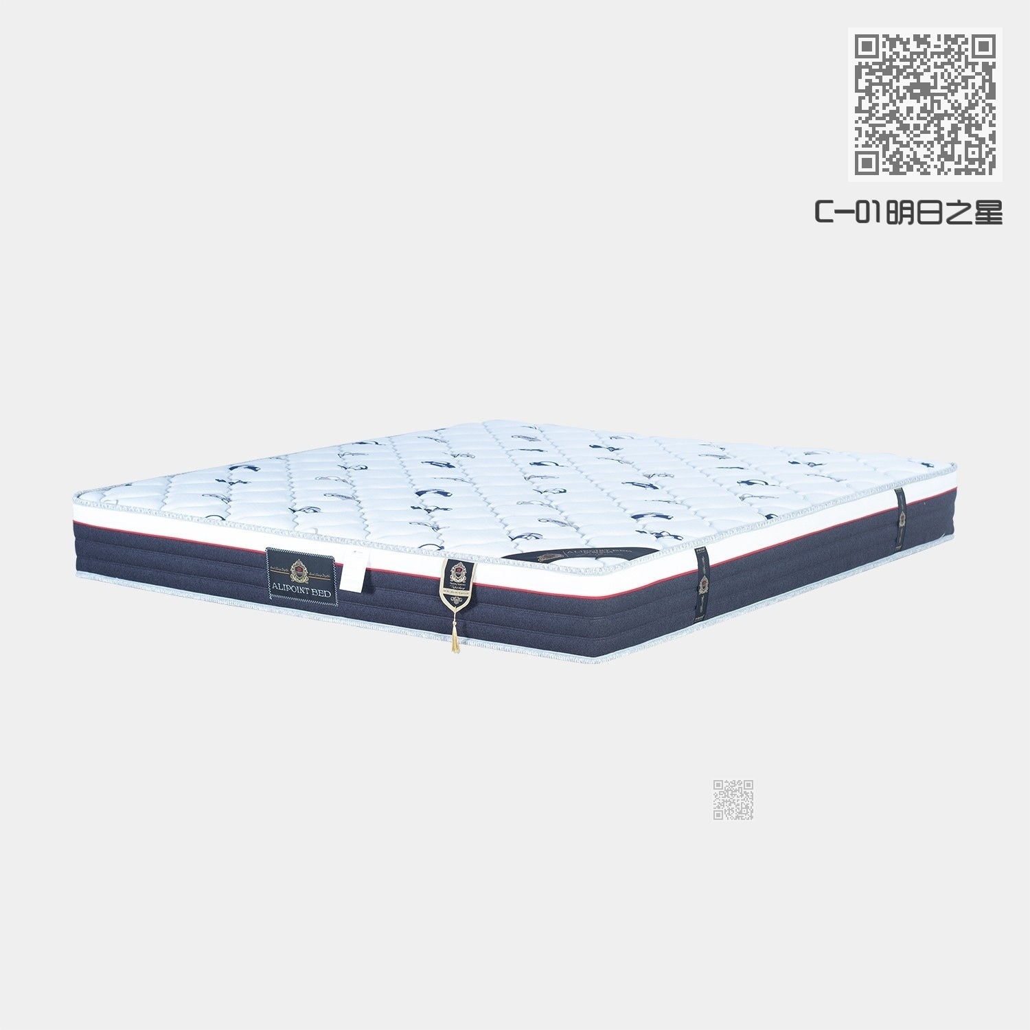 C-01明日之星 C-01明日之星