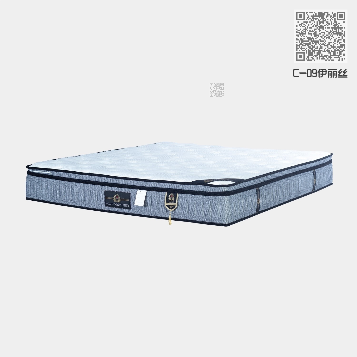 C-09伊丽丝