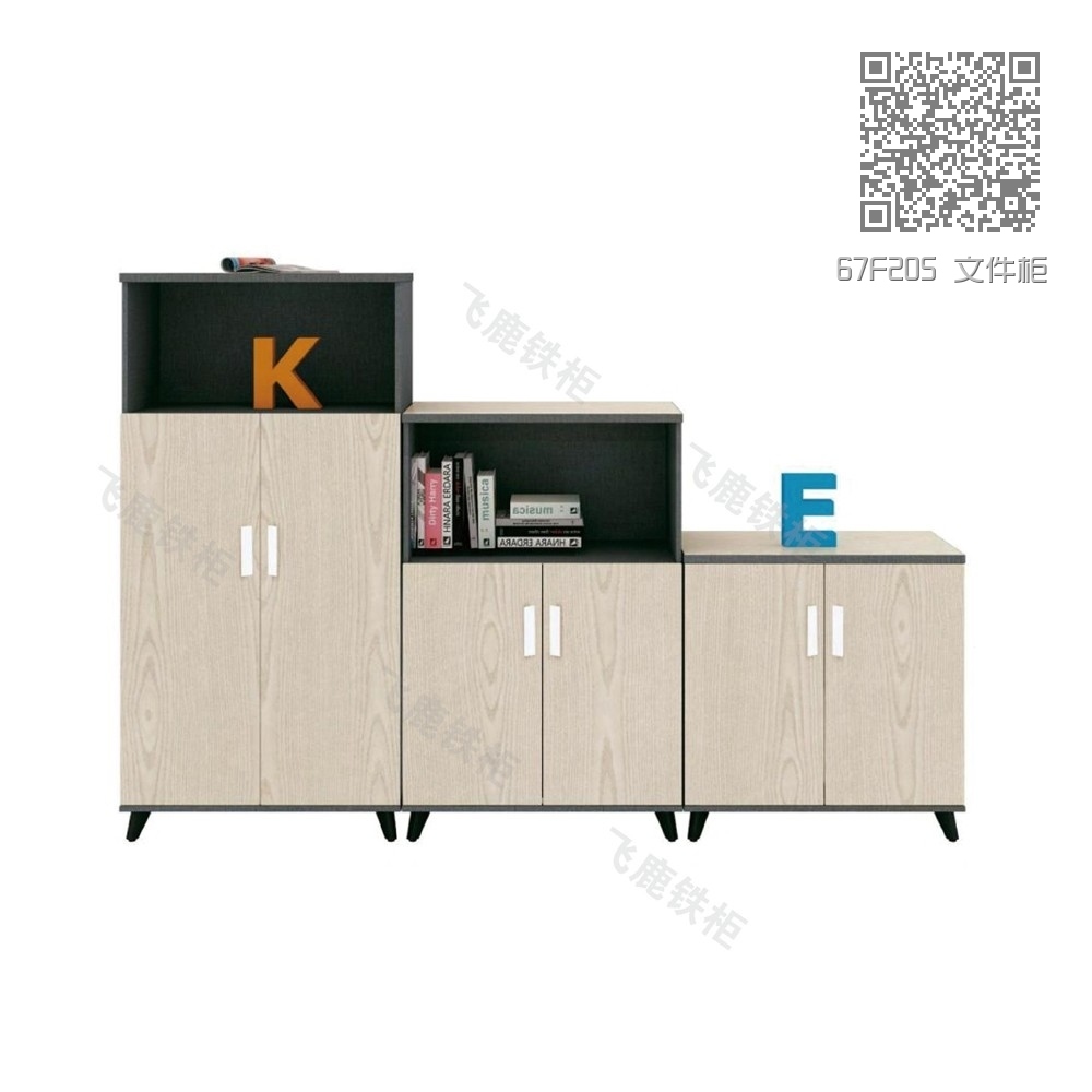 67F205 文件柜 67F205 文件柜