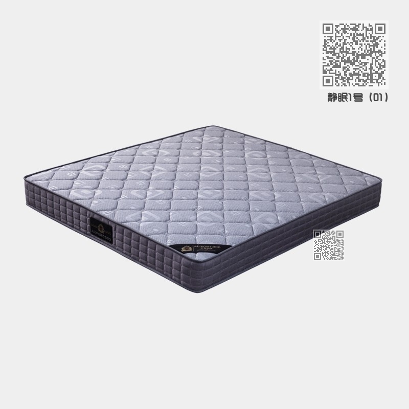 静眠1号(01) 静眠1号(01)