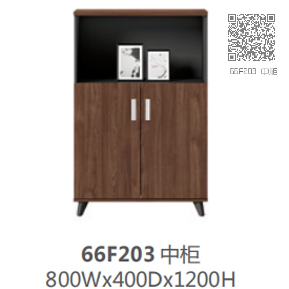 66F203 中柜 66F203 中柜