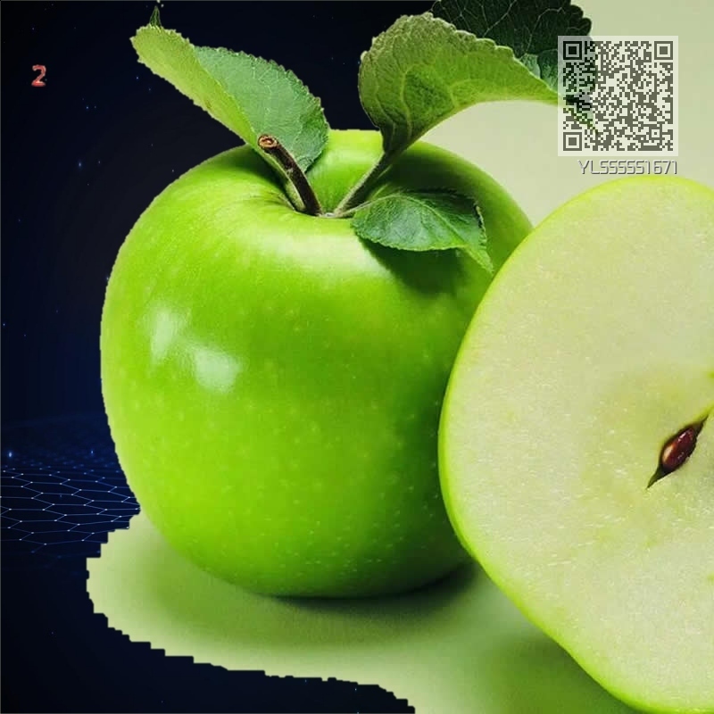 YL555551671
