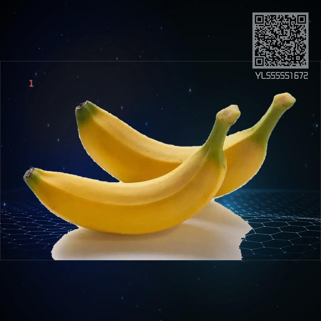 YL555551672