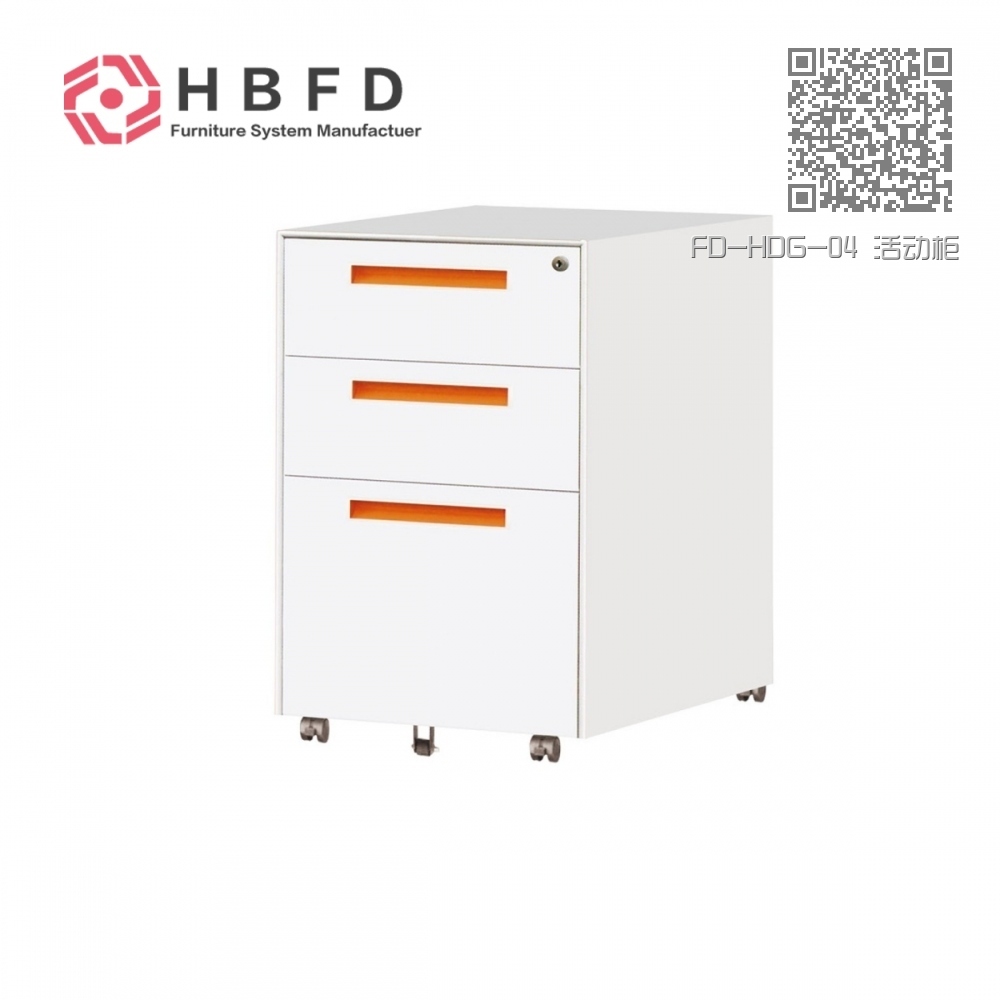 FD-HDG-04 活动柜