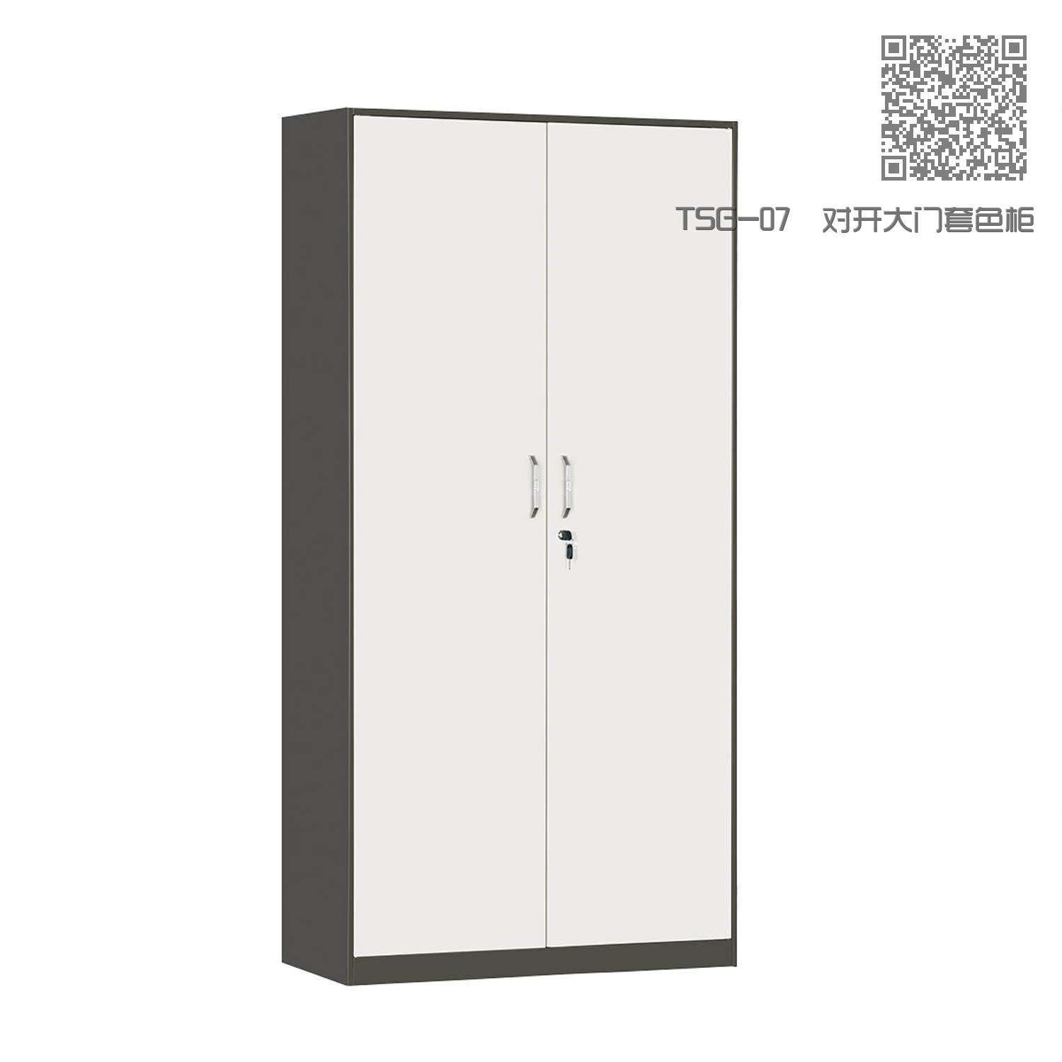 TSG-07  对开大门套色柜