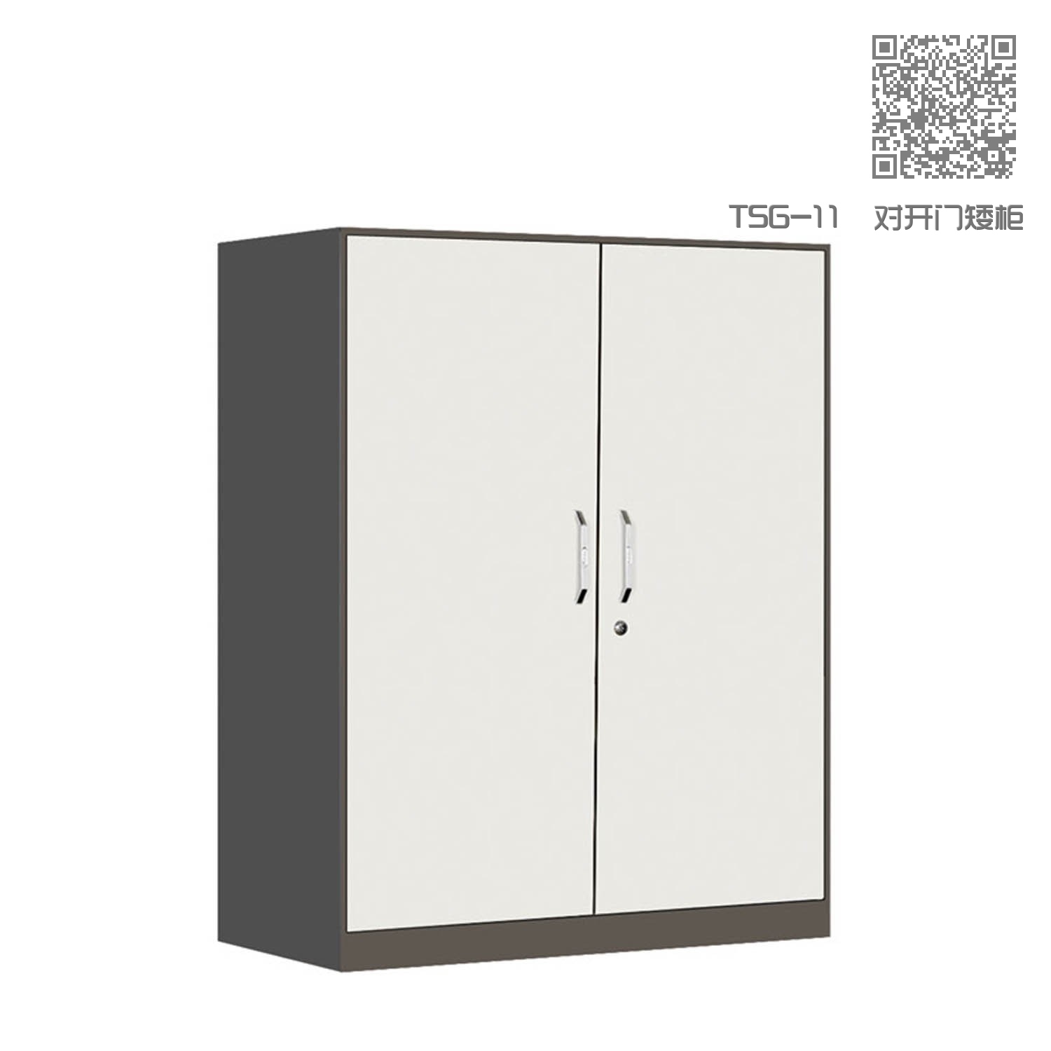 TSG-11 对开门矮柜 TSG-11 对开门矮柜