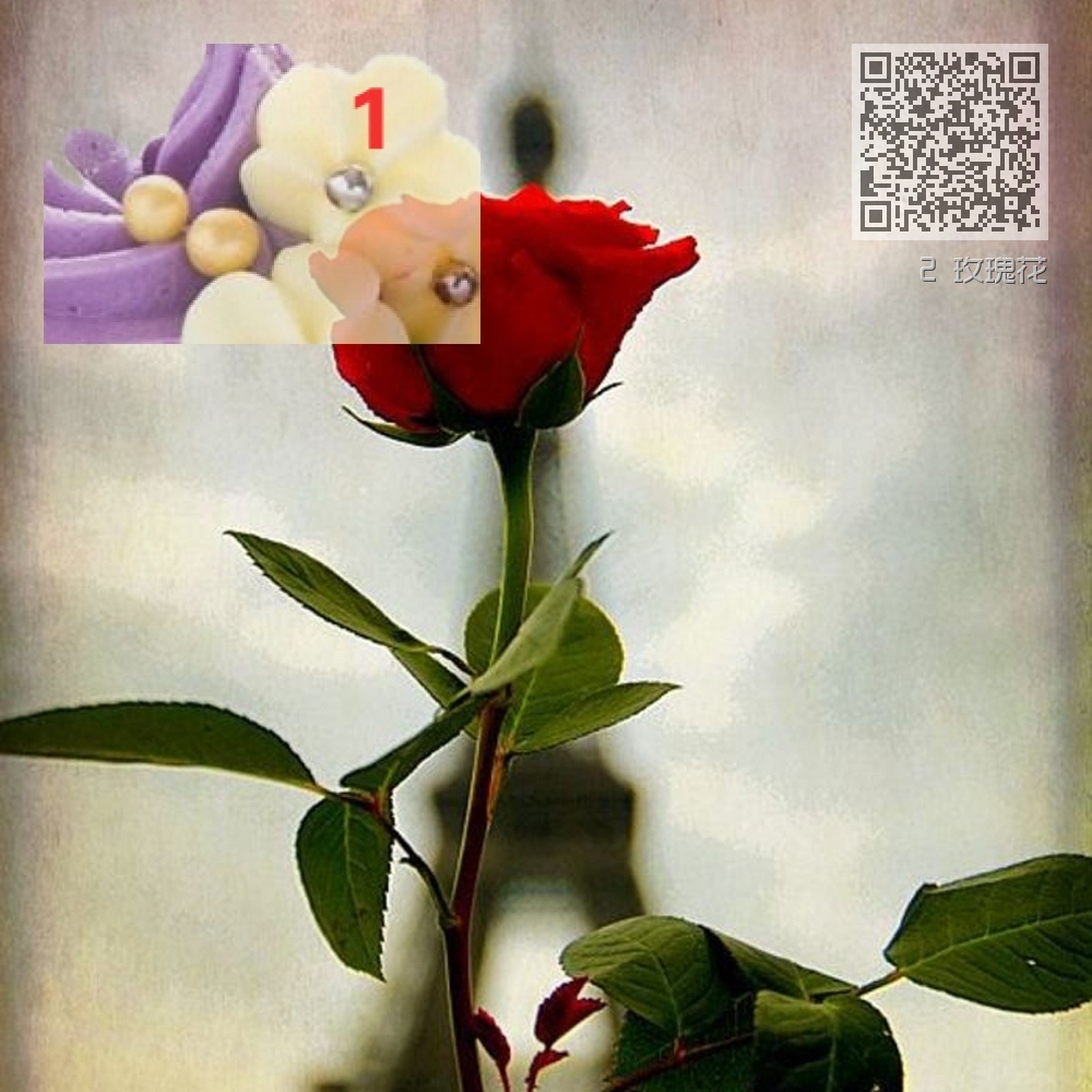 2 玫瑰花 2 玫瑰花