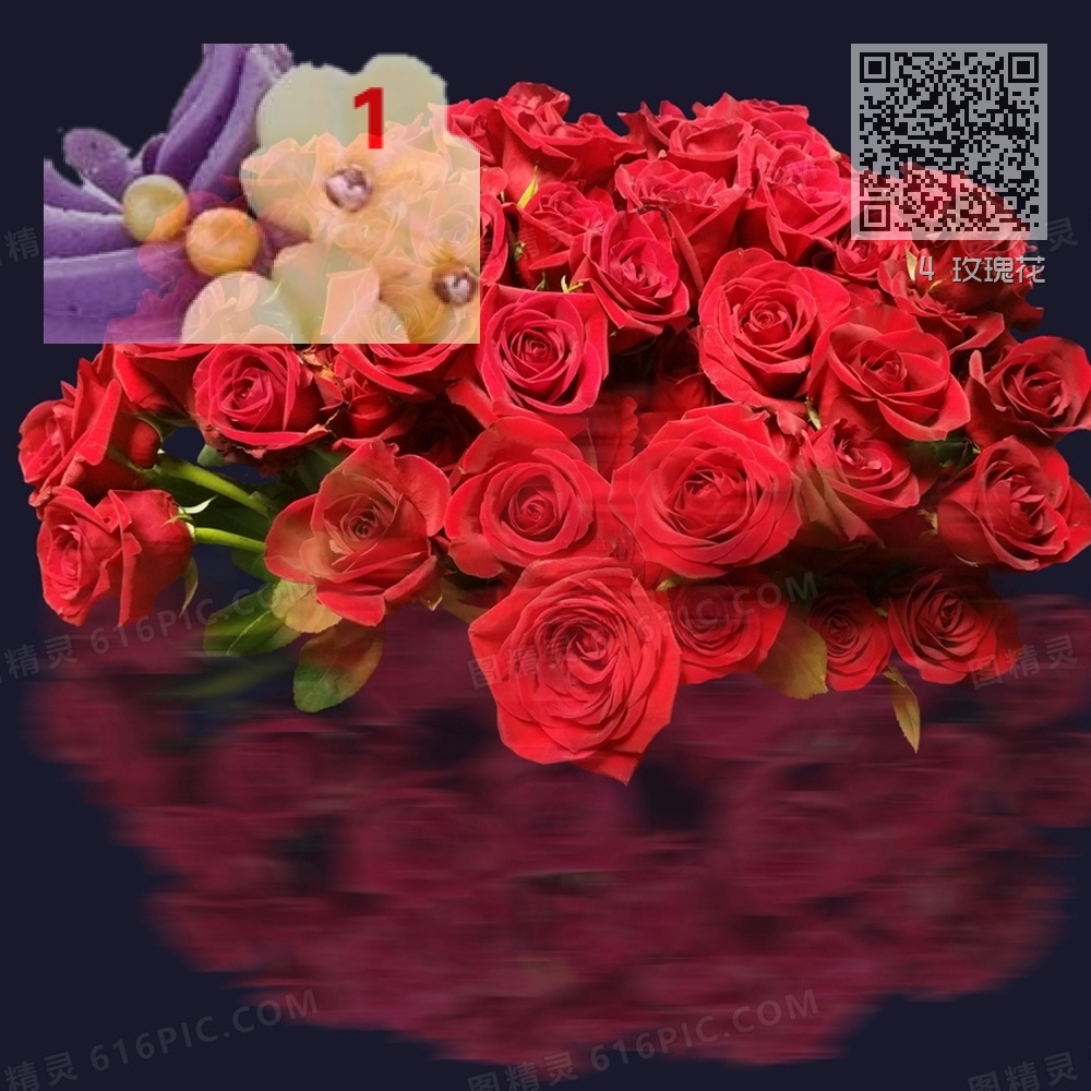4 玫瑰花 4 玫瑰花