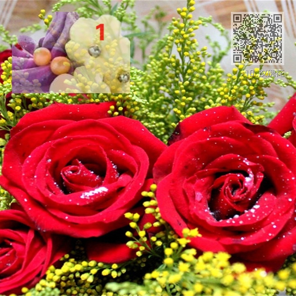 10 玫瑰花 10 玫瑰花