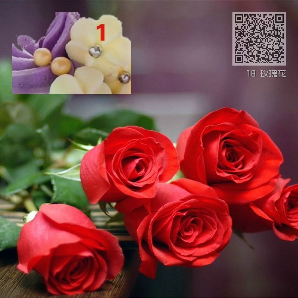 18 玫瑰花 18 玫瑰花