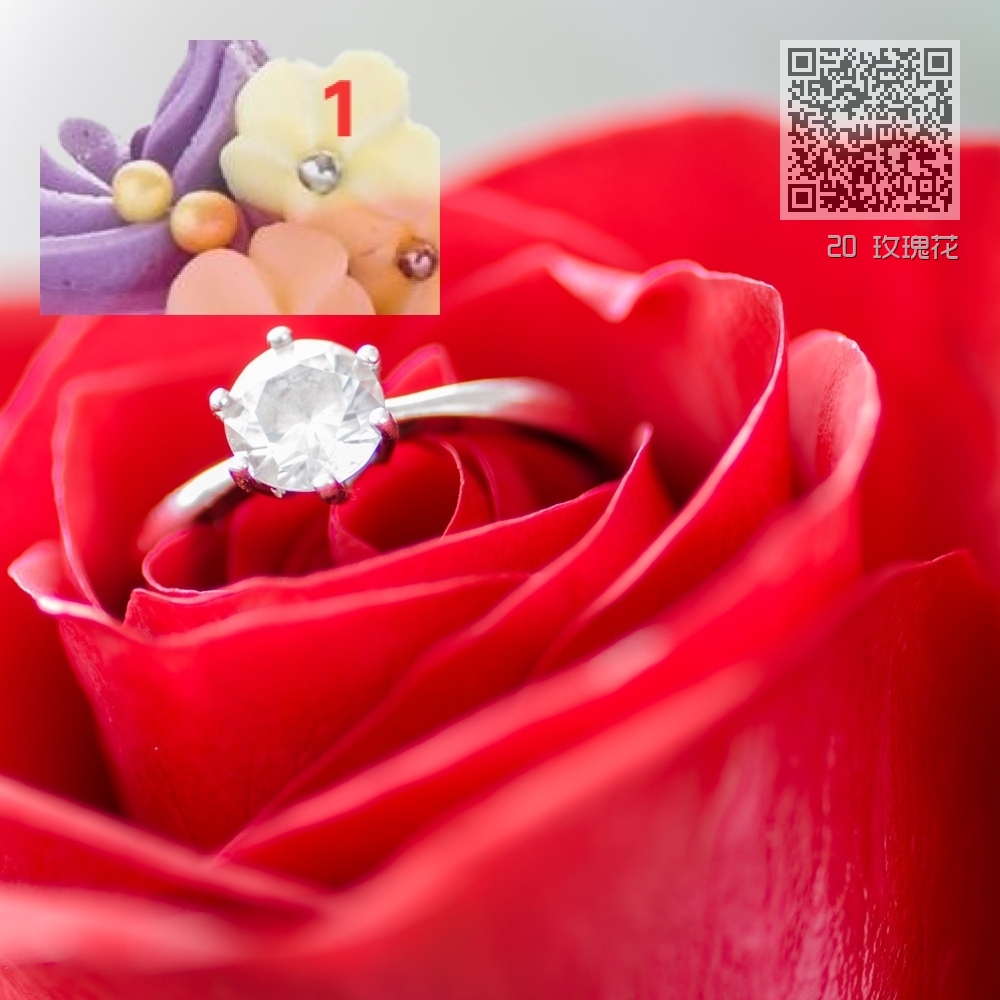 20 玫瑰花 20 玫瑰花