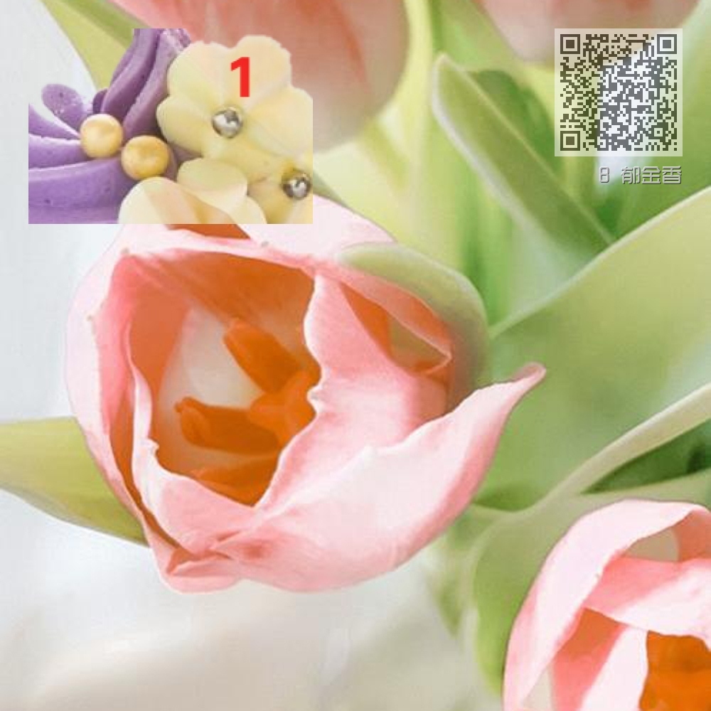8 郁金香 8 郁金香