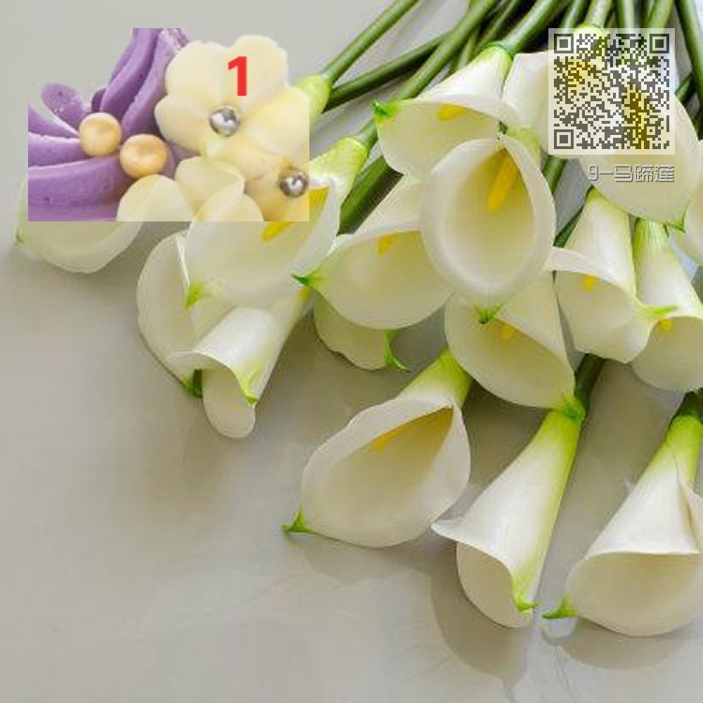 9-马蹄莲 9-马蹄莲