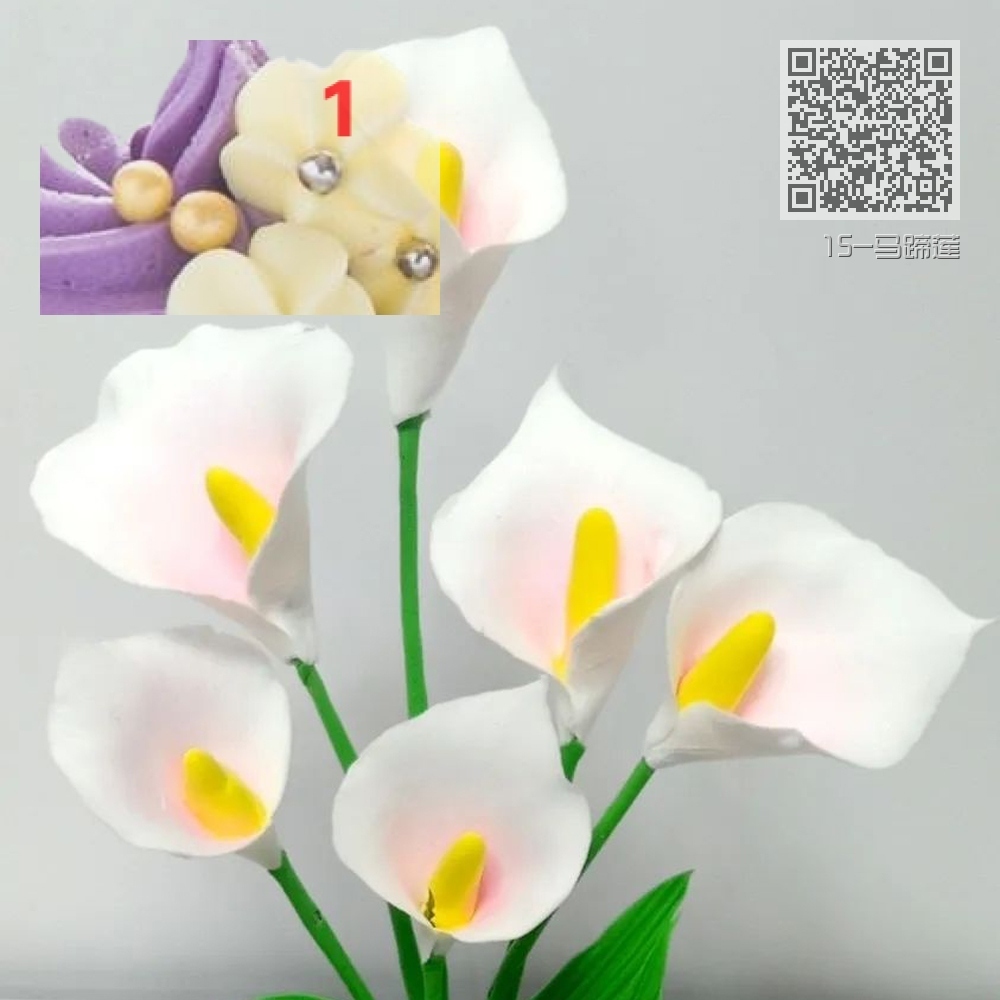 15-马蹄莲 15-马蹄莲