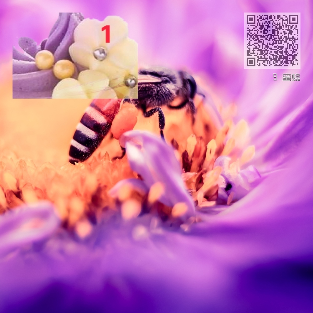 9 蜜蜂 9 蜜蜂