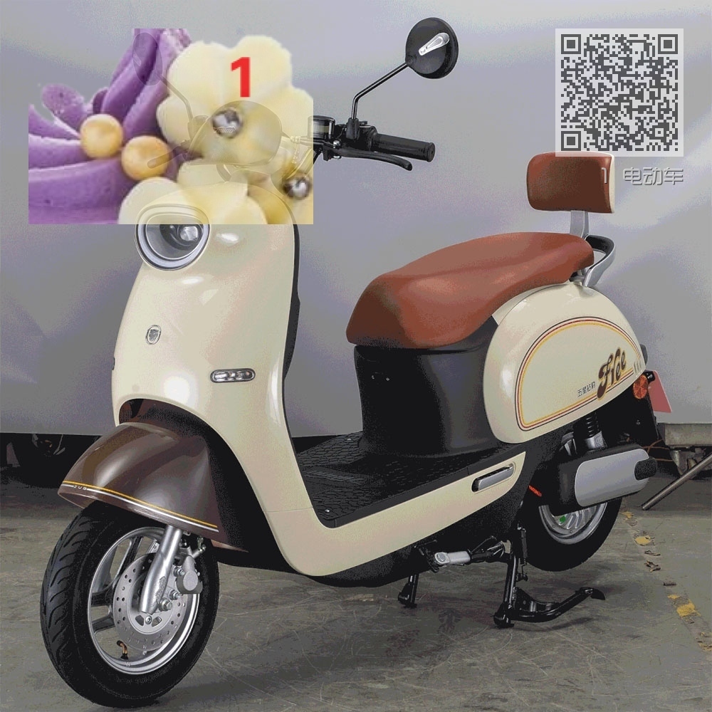 1 电动车 1 电动车