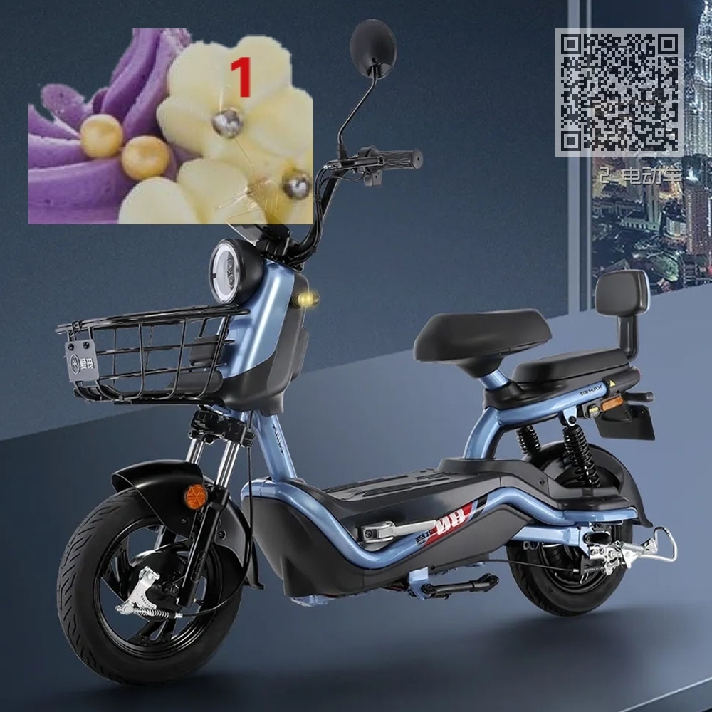 2 电动车 2 电动车