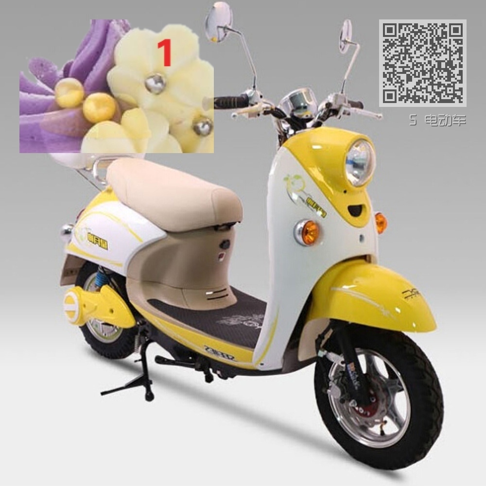 5 电动车 5 电动车