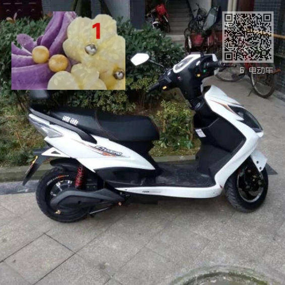 6 电动车 6 电动车