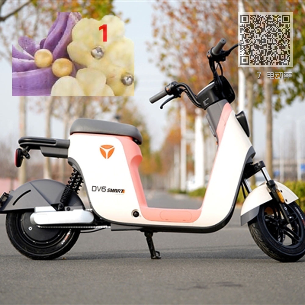 7 电动车 7 电动车