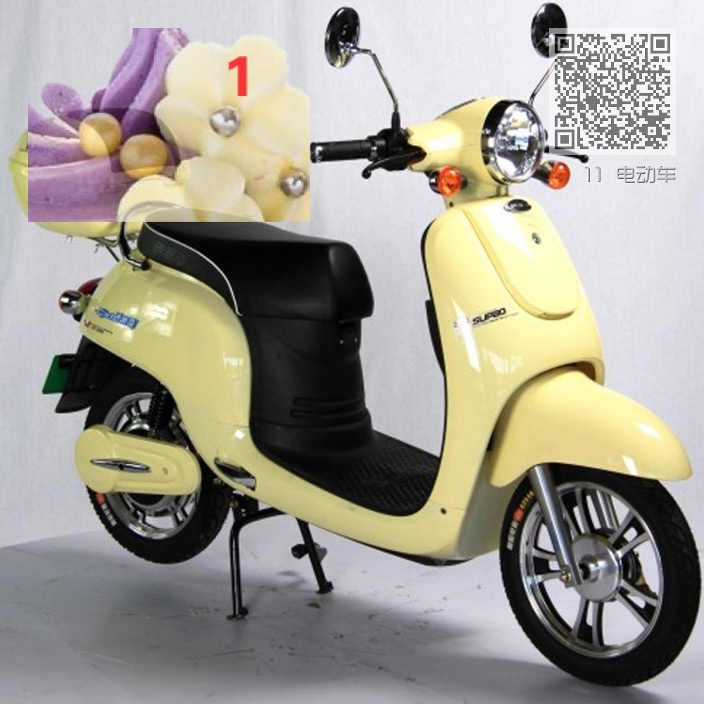 11 电动车 11 电动车