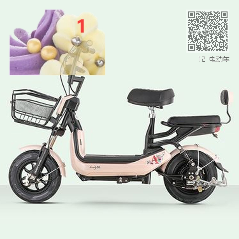 12 电动车 12 电动车