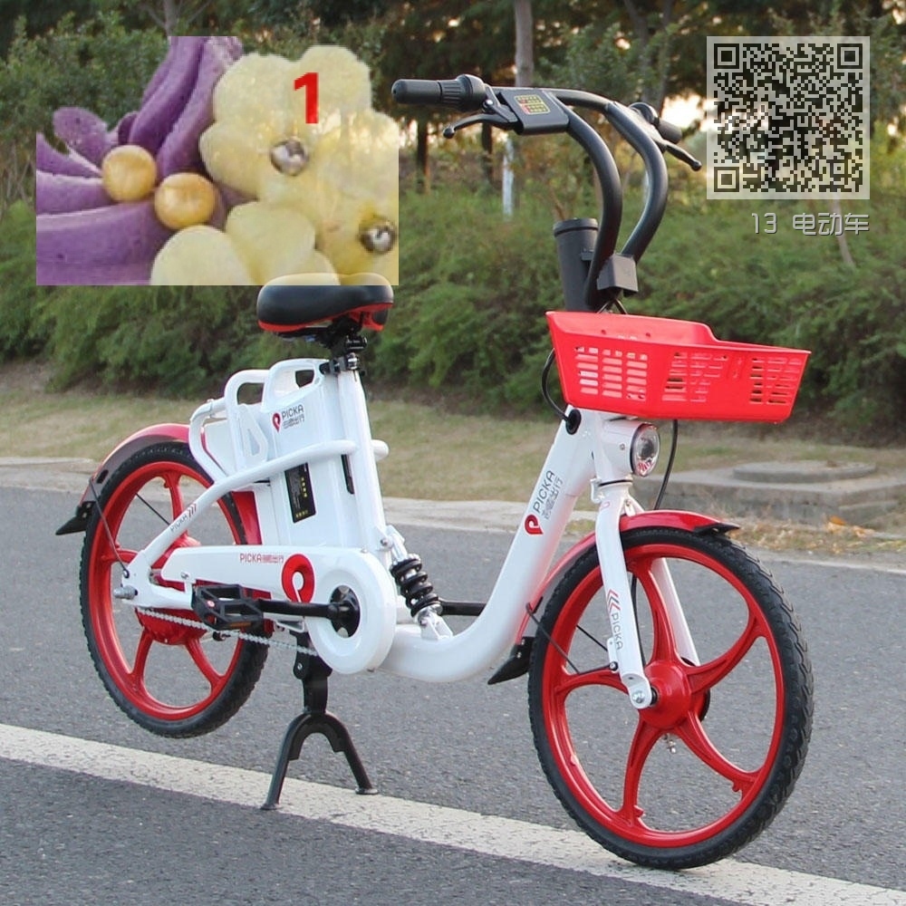 13 电动车 13 电动车