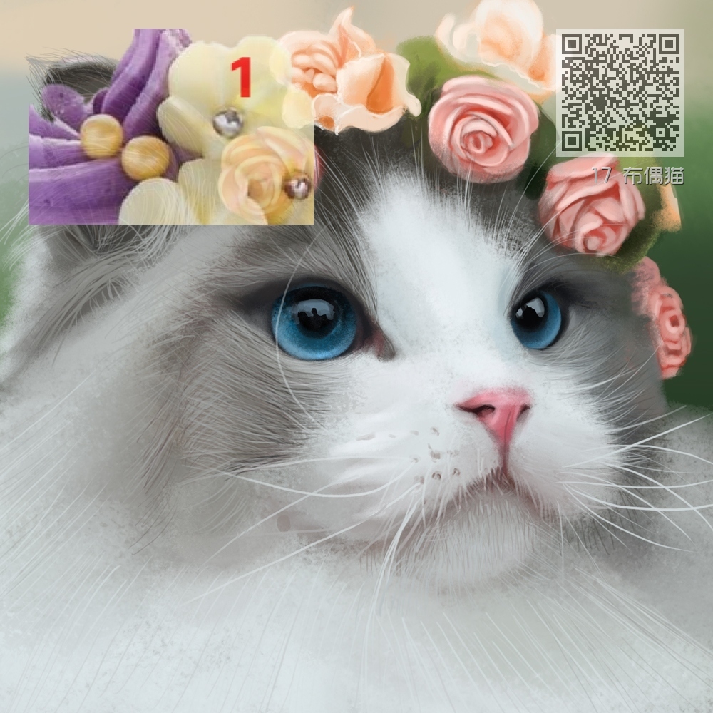 17 布偶猫 17 布偶猫