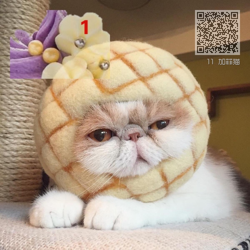 11 加菲猫 11 加菲猫
