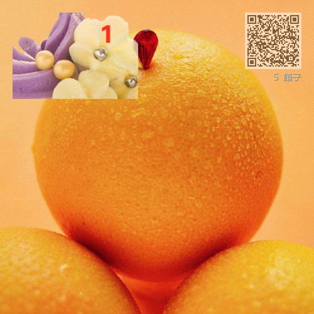 5 橙子