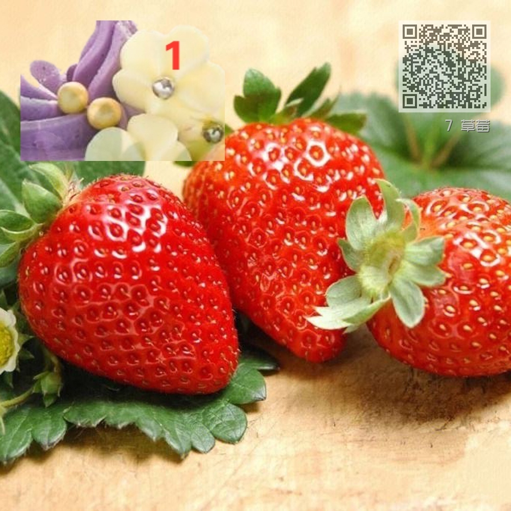 7 草莓 7 草莓