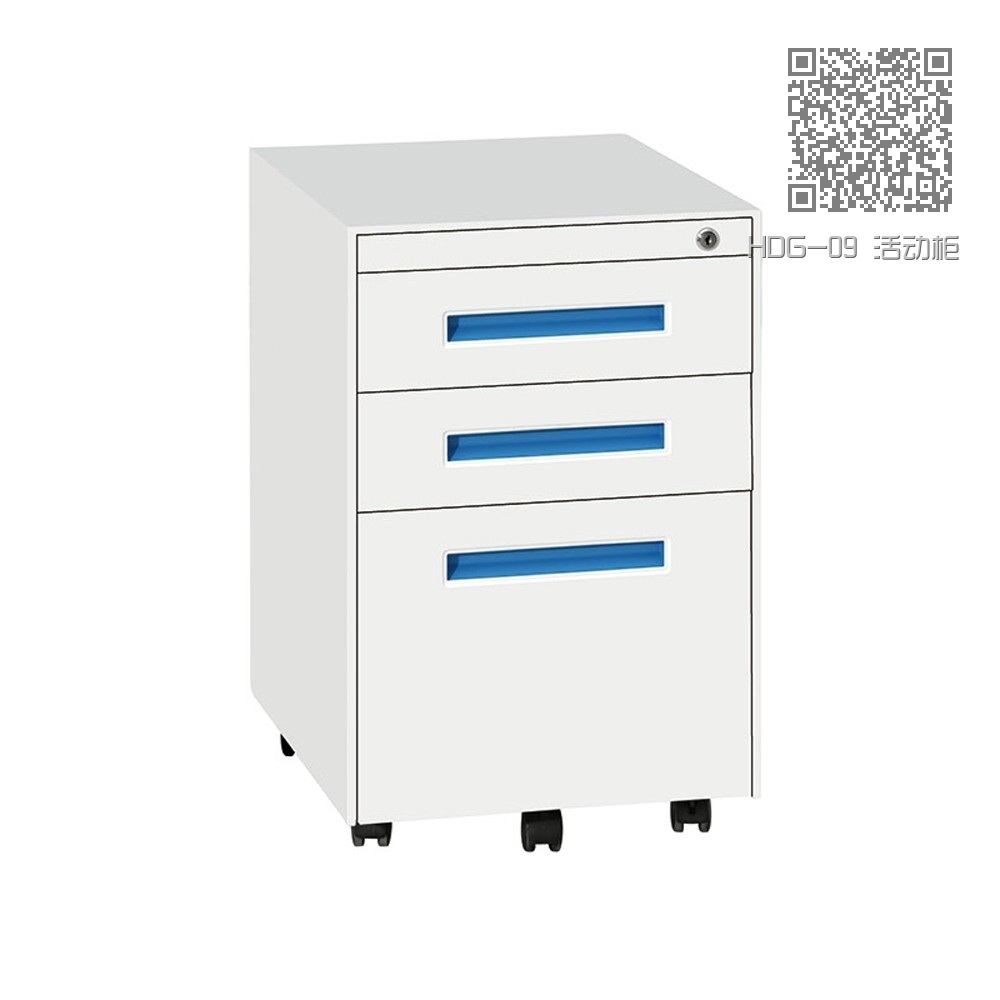 HDG-09 活动柜 HDG-09 活动柜