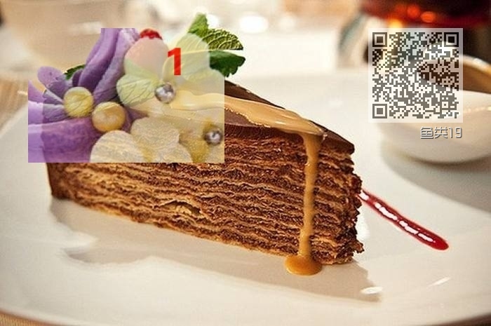 鱼类19