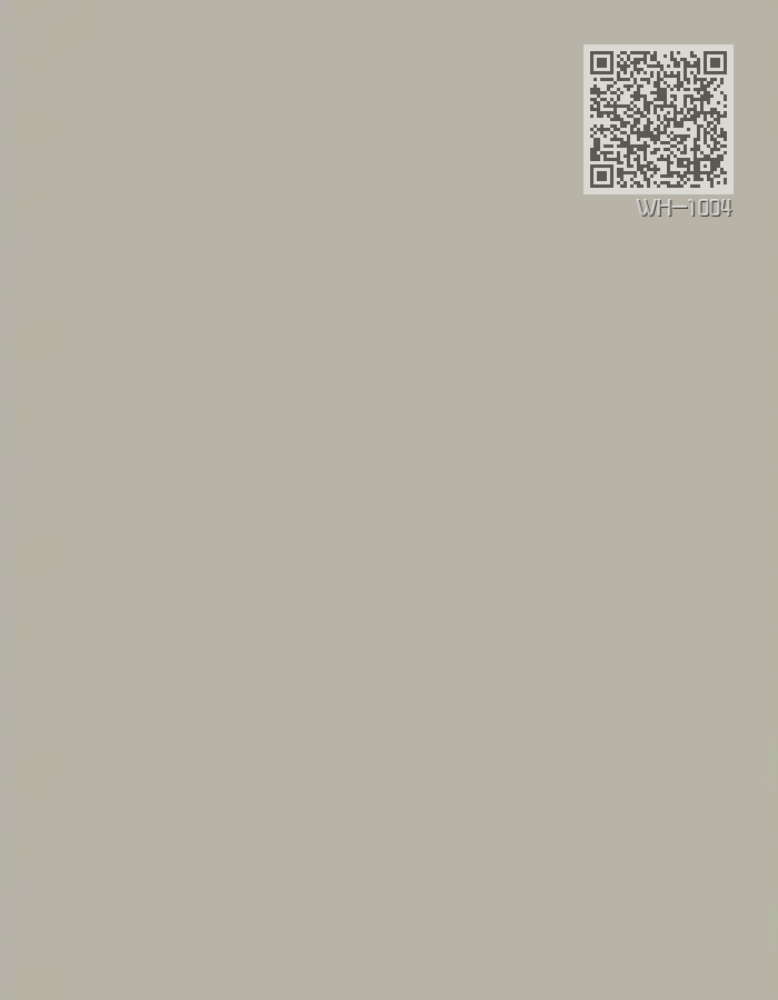 WH-1004 WH-1004