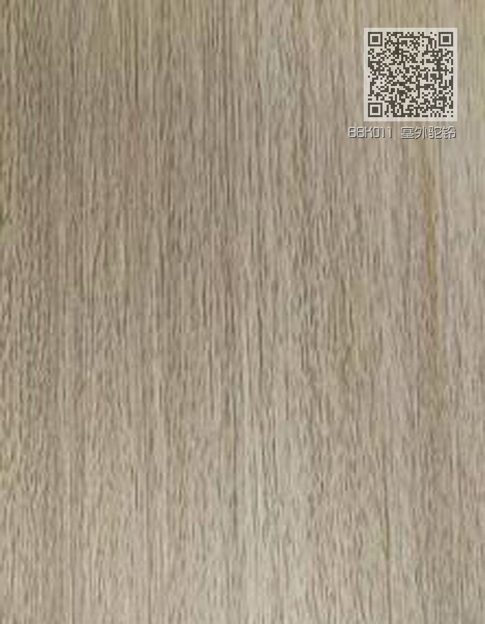 BBK011 塞外驼铃