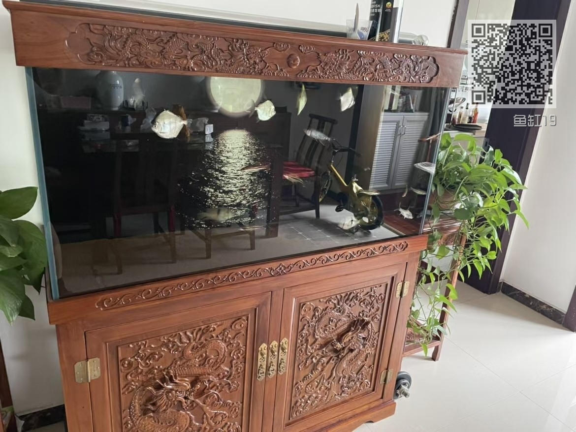 鱼缸19