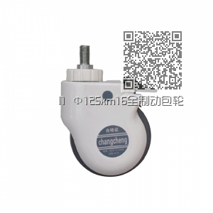 I1 Φ125xm16全制动包轮 I1 Φ125xm16全制动包轮