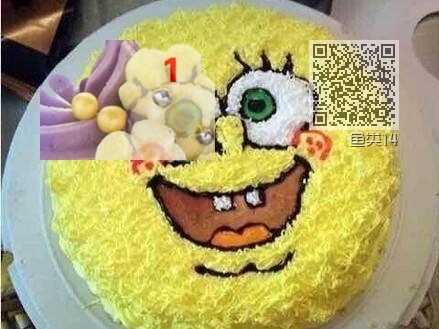 鱼类14 鱼类14