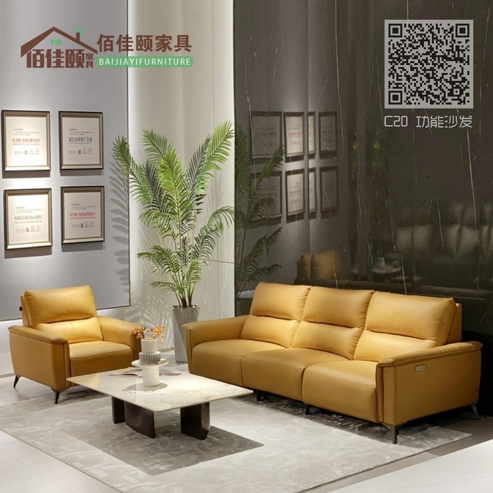 C20 功能沙发
